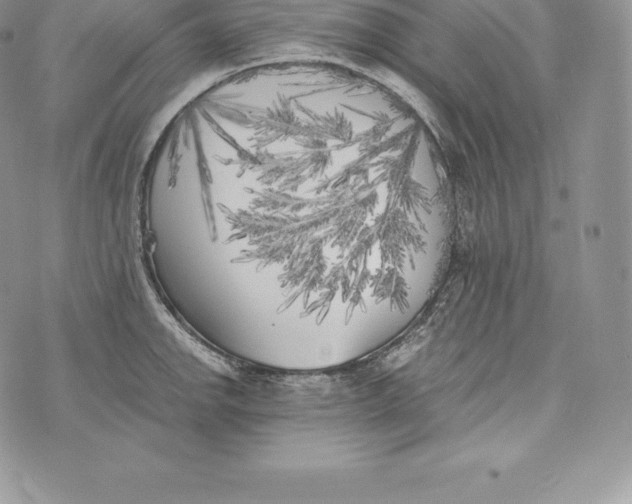 X0000072931142200608111529