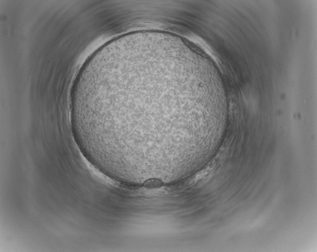 X0000072931143200608111529