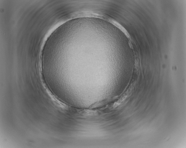 X0000072931144200608111529