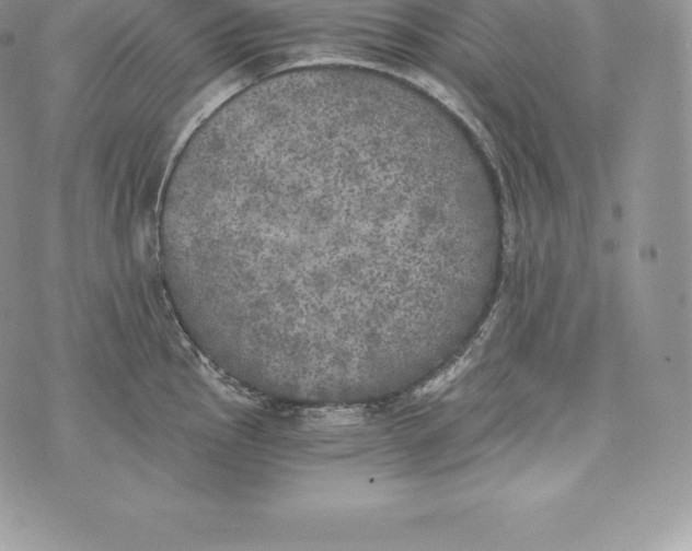 X0000072931145200608111529