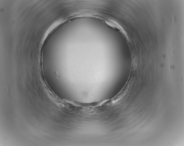 X0000072931146200608111529