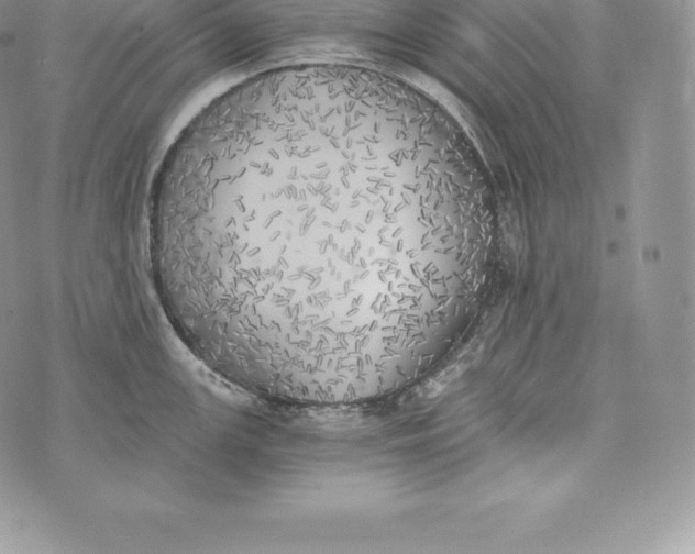 X0000072931147200608111529