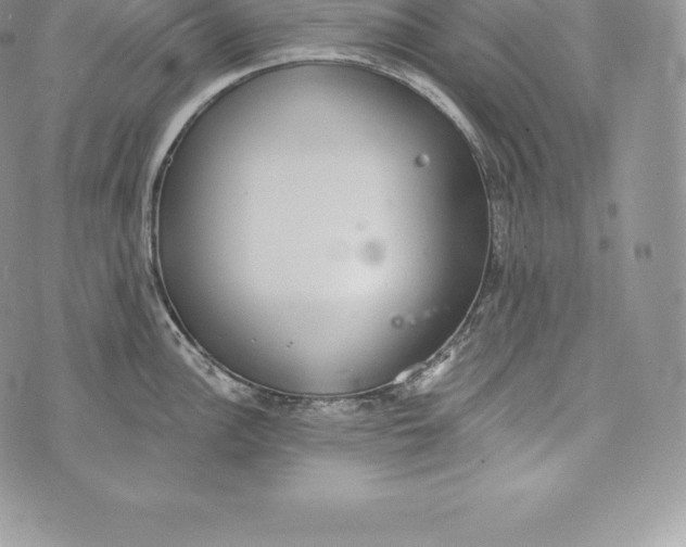 X0000072931148200608111529