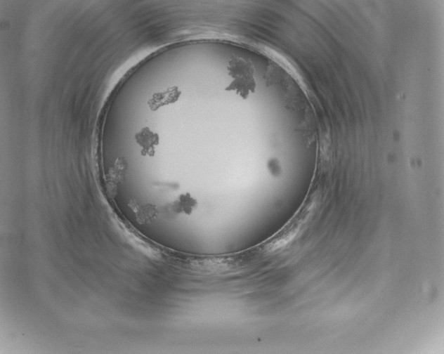 X0000072931149200608111529