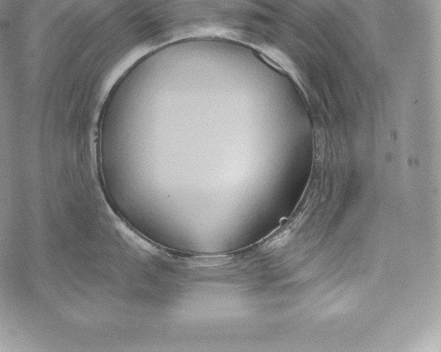 X0000072931151200608111529