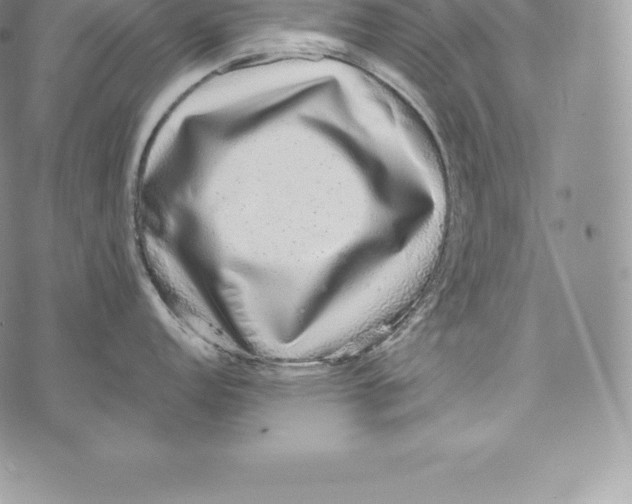 X0000072931152200608111529