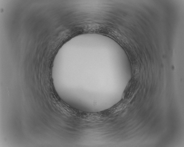 X0000072931153200608111528