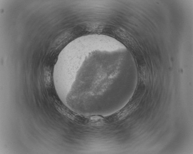 X0000072931154200608111528