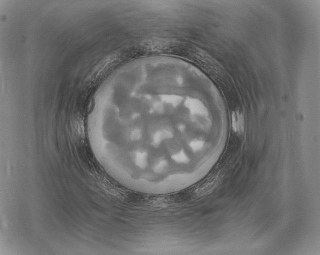 X0000072931155200608111528