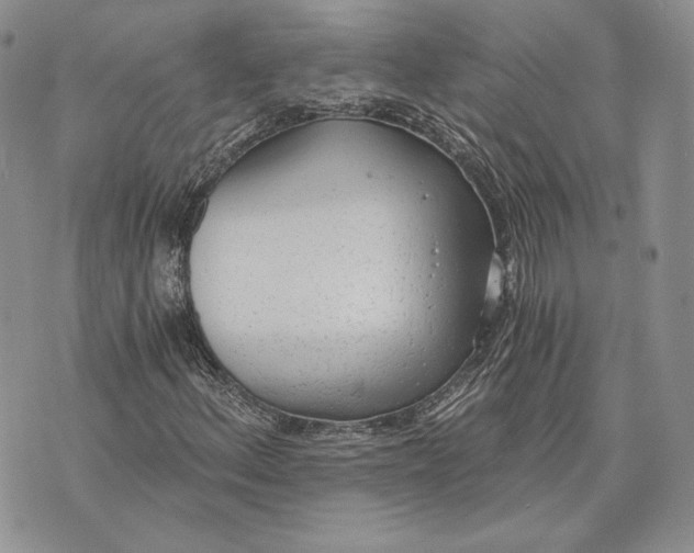 X0000072931156200608111528