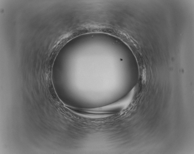 X0000072931157200608111528