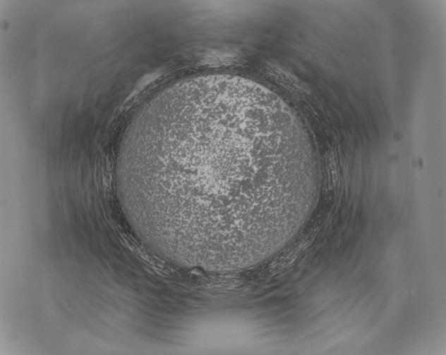 X0000072931158200608111528