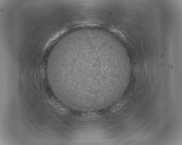 X0000072931159200608111528