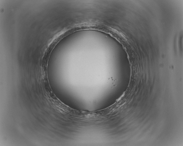 X0000072931160200608111528