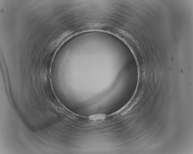 X0000072931161200608111528