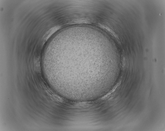 X0000072931162200608111528