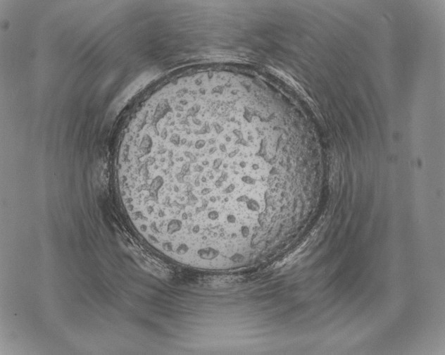 X0000072931163200608111528