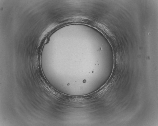 X0000072931164200608111528