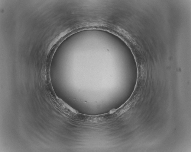 X0000072931165200608111528