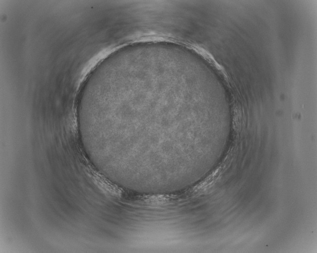 X0000072931167200608111528