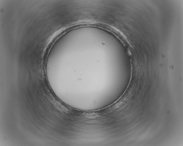 X0000072931168200608111528