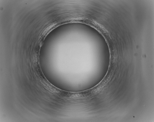 X0000072931169200608111528