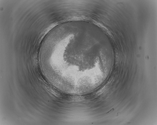 X0000072931170200608111528