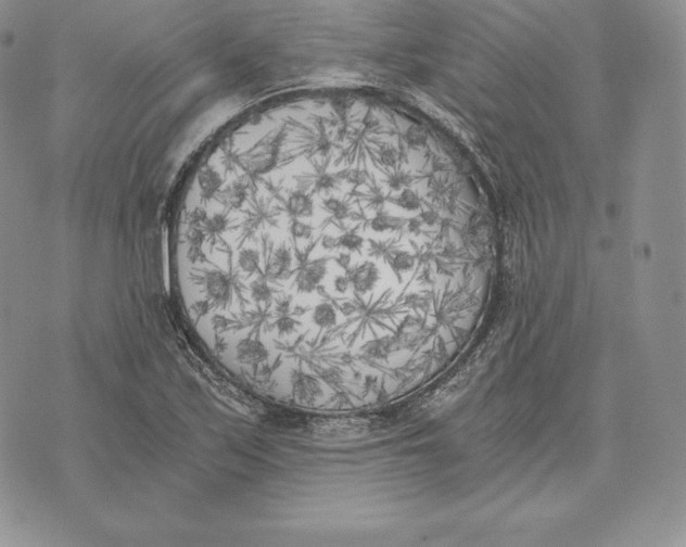 X0000072931171200608111528