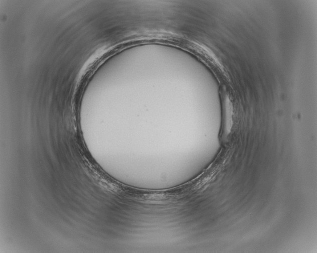 X0000072931172200608111528