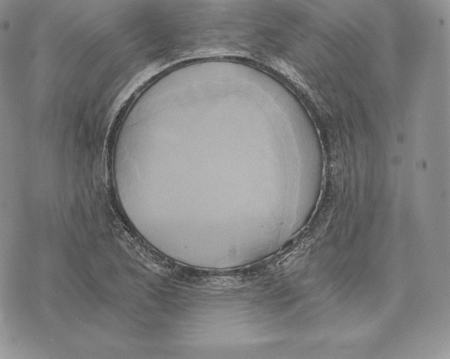 X0000072931173200608111528