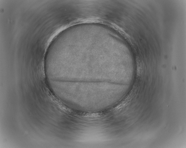 X0000072931174200608111528