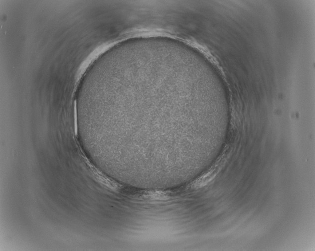 X0000072931175200608111528