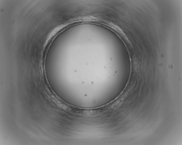 X0000072931176200608111528