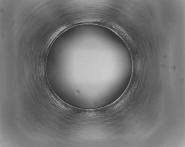 X0000072931177200608111528