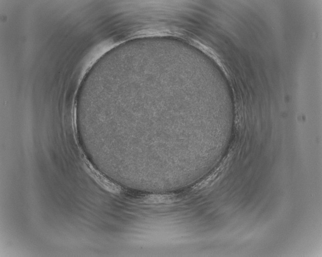 X0000072931179200608111528