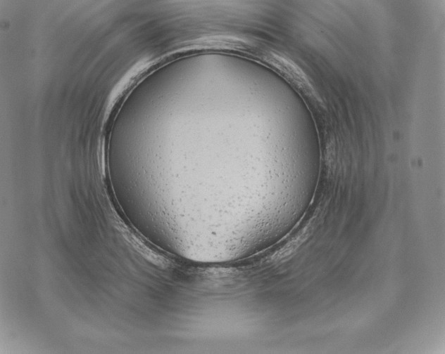 X0000072931180200608111528