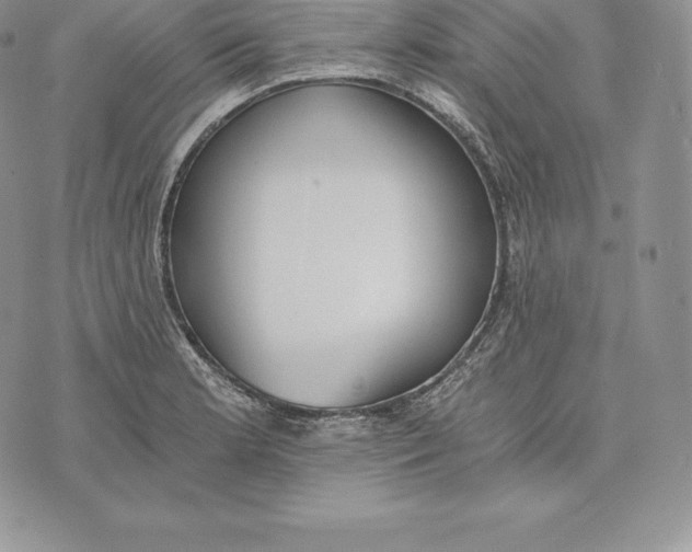 X0000072931181200608111528