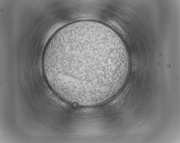 X0000072931182200608111528