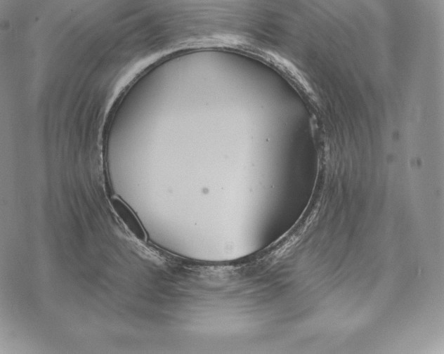 X0000072931184200608111528