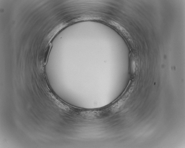 X0000072931185200608111528