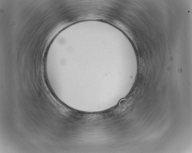 X0000072931187200608111528