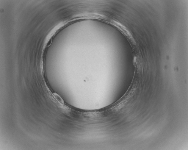 X0000072931188200608111528