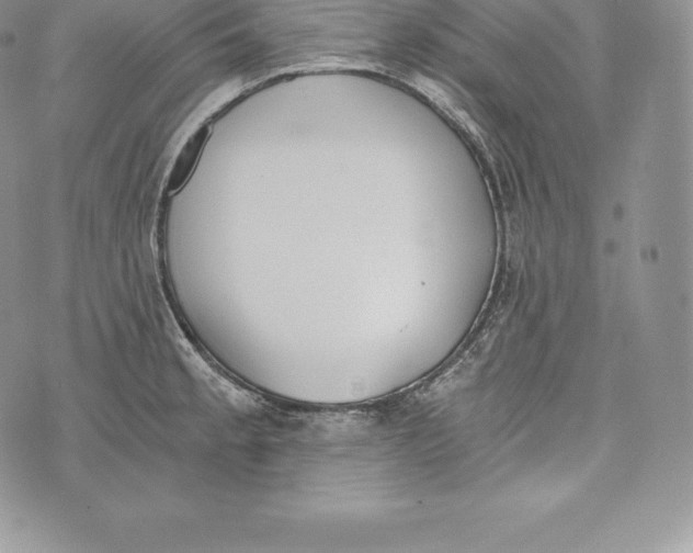 X0000072931189200608111527