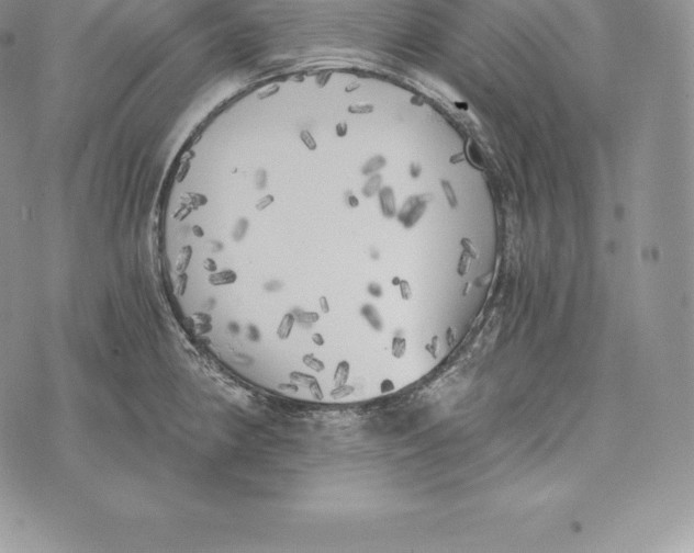 X0000072931190200608111527