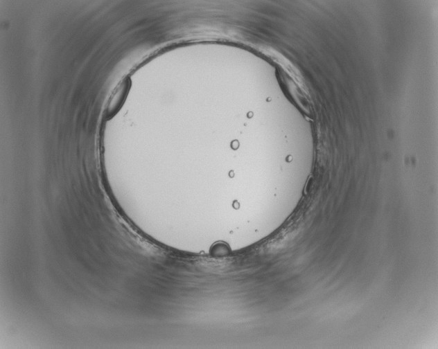 X0000072931191200608111527