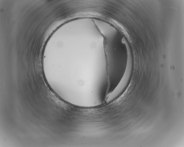 X0000072931192200608111527