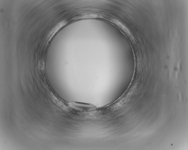 X0000072931193200608111527