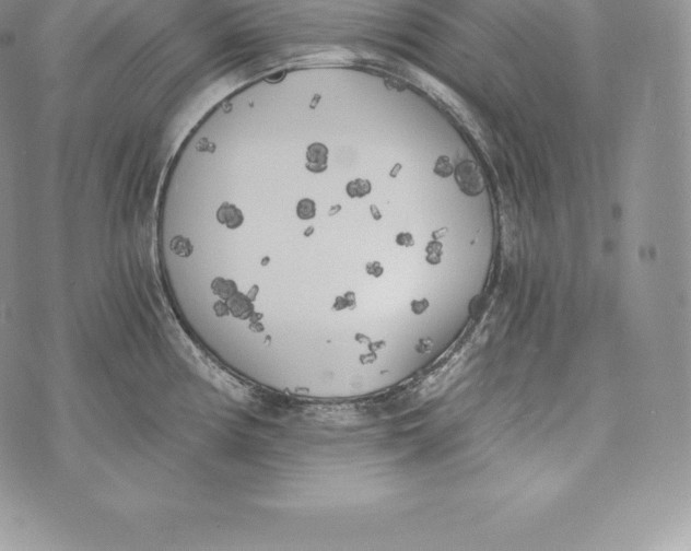 X0000072931194200608111527