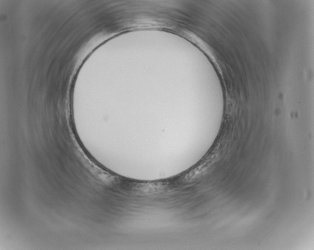 X0000072931195200608111527