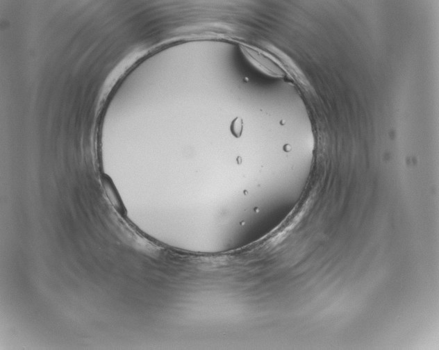 X0000072931196200608111527